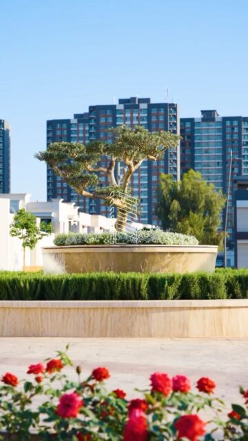 کردنهوهی فرۆشتنی دوايين باڵهخانهی شوقهکانی گهنجان لایف – ههولێر.
دهرفهتهكه له دهست مهده، پهیوهندی بکه و شوقهکهت ئهمڕۆ حهجز بکه.
📞 پهیوهندی بکهن به ژمارهى ڕاستهوخۆ: 6646
WhatsApp: 009647503336646
📍یان سهردانی بنكهی فرۆشتن بکهن له ههولێر – شهقامی 150، ناو گهنجان ستی.
#گهنجان_لايف #ماڵی_خۆته